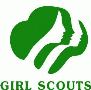 Girl Scout Calendar on Girl Scouts   Starry Sky Austin
